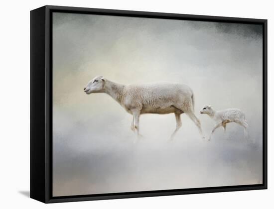 In My Mothers Footsteps Sheep and Lamb-Jai Johnson-Framed Stretched Canvas