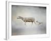 In My Mothers Footsteps Sheep and Lamb-Jai Johnson-Framed Giclee Print