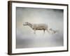 In My Mothers Footsteps Sheep and Lamb-Jai Johnson-Framed Giclee Print