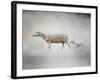 In My Mothers Footsteps Sheep and Lamb-Jai Johnson-Framed Giclee Print