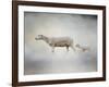 In My Mothers Footsteps Sheep and Lamb-Jai Johnson-Framed Giclee Print