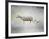 In My Mothers Footsteps Sheep and Lamb-Jai Johnson-Framed Giclee Print