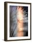 In My Winter Window-Ursula Abresch-Framed Premium Photographic Print