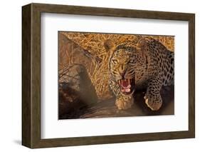 In No Uncertain Terms-null-Framed Art Print