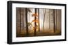 In November Light-Franz Schumacher-Framed Art Print