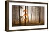 In November Light-Franz Schumacher-Framed Art Print