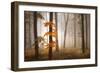 In November Light-Franz Schumacher-Framed Photographic Print