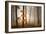 In November Light-Franz Schumacher-Framed Photographic Print