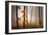 In November Light-Franz Schumacher-Framed Photographic Print