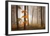 In November Light-Franz Schumacher-Framed Photographic Print