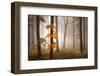 In November Light-Franz Schumacher-Framed Photographic Print