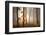 In November Light-Franz Schumacher-Framed Photographic Print