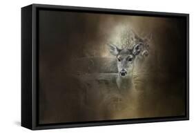 In Our Woods-Jai Johnson-Framed Stretched Canvas