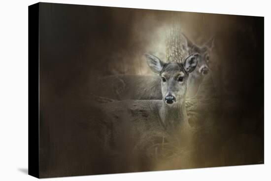 In Our Woods-Jai Johnson-Stretched Canvas