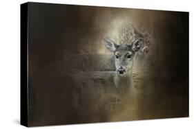 In Our Woods-Jai Johnson-Stretched Canvas