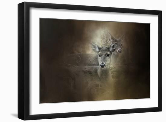 In Our Woods-Jai Johnson-Framed Giclee Print