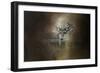 In Our Woods-Jai Johnson-Framed Giclee Print