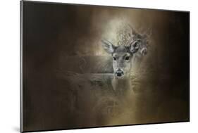 In Our Woods-Jai Johnson-Mounted Giclee Print