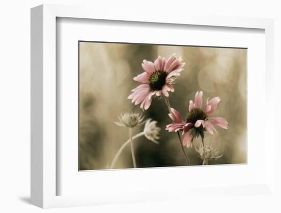 In Perfect Harmony-David Winston-Framed Giclee Print