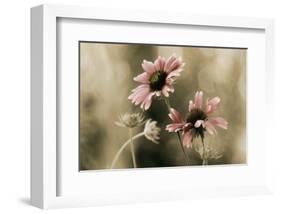 In Perfect Harmony-David Winston-Framed Giclee Print