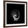 In Permanent Void-Radin Badrnia-Framed Photographic Print