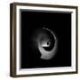 In Permanent Void-Radin Badrnia-Framed Photographic Print