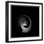 In Permanent Void-Radin Badrnia-Framed Photographic Print