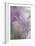 In Pink Delight-Heidi Westum-Framed Giclee Print