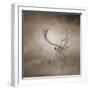 In Plain Sight Sika Deer-Jai Johnson-Framed Giclee Print