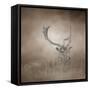 In Plain Sight Sika Deer-Jai Johnson-Framed Stretched Canvas