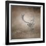 In Plain Sight Sika Deer-Jai Johnson-Framed Giclee Print