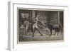 In Private Training-Frank Feller-Framed Giclee Print