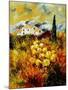 In Provence-Pol Ledent-Mounted Art Print