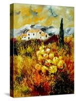 In Provence-Pol Ledent-Stretched Canvas