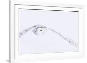 In Pursuit-Staffan Widstrand-Framed Giclee Print