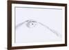 In Pursuit-Staffan Widstrand-Framed Giclee Print