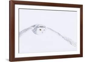 In Pursuit-Staffan Widstrand-Framed Giclee Print