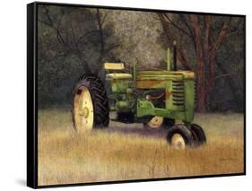 In Repose-Marcia Matcham-Framed Stretched Canvas