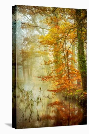 In Romance-Lars Van de Goor-Stretched Canvas