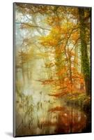 In Romance-Lars Van de Goor-Mounted Photographic Print