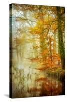 In Romance-Lars Van de Goor-Stretched Canvas