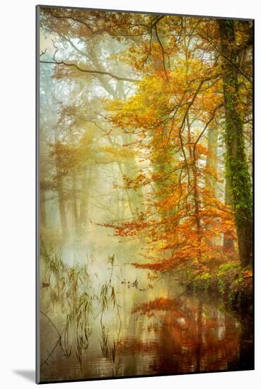 In Romance-Lars Van de Goor-Mounted Photographic Print