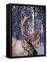 In Santa Claus's Country the Reindeers Abound, Lapland, Finland-Daisy Gilardini-Framed Stretched Canvas