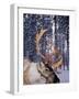 In Santa Claus's Country the Reindeers Abound, Lapland, Finland-Daisy Gilardini-Framed Photographic Print