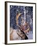 In Santa Claus's Country the Reindeers Abound, Lapland, Finland-Daisy Gilardini-Framed Photographic Print