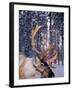 In Santa Claus's Country the Reindeers Abound, Lapland, Finland-Daisy Gilardini-Framed Photographic Print