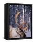 In Santa Claus's Country the Reindeers Abound, Lapland, Finland-Daisy Gilardini-Framed Stretched Canvas