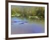 In Search of a Kingfisher-Valda Bailey-Framed Photographic Print