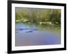 In Search of a Kingfisher-Valda Bailey-Framed Photographic Print