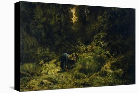 In Search of Firewood-Ernesto Rayper-Stretched Canvas